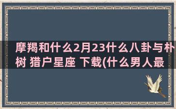 摩羯和什么2月23什么八卦与朴树 猎户星座 下载(什么男人最爱摩羯女)